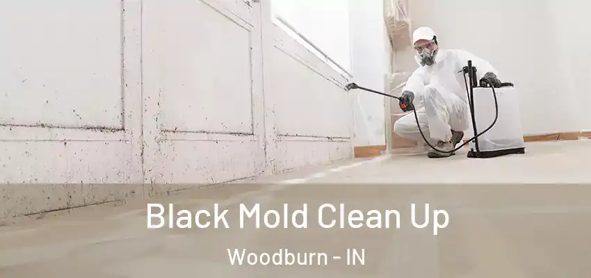  Black Mold Clean Up Woodburn - IN