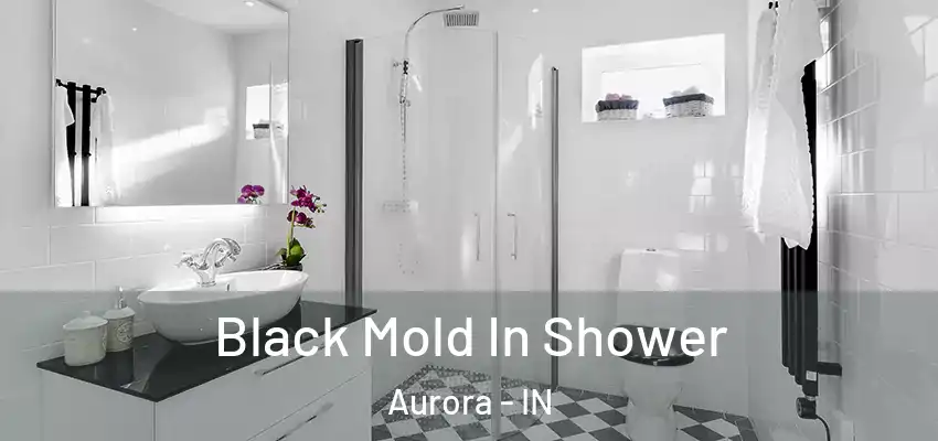  Black Mold In Shower Aurora - IN