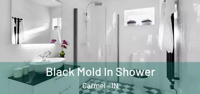  Black Mold In Shower Carmel - IN