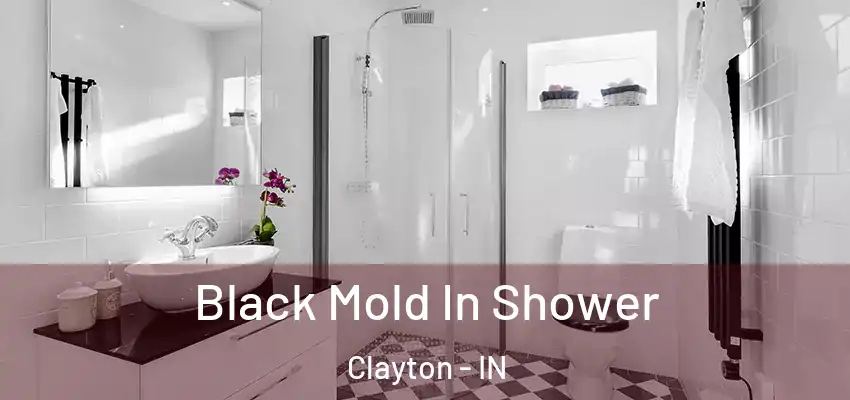 Black Mold In Shower Clayton - IN
