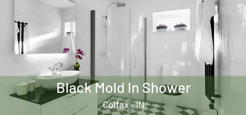  Black Mold In Shower Colfax - IN