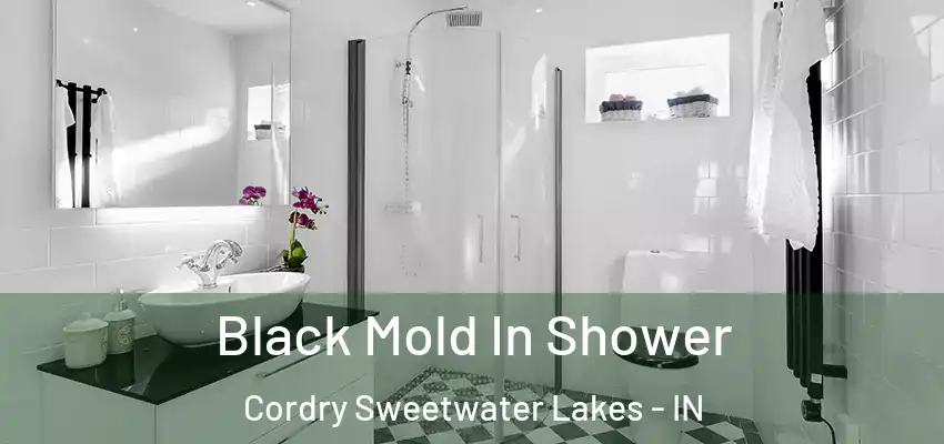 Black Mold In Shower Cordry Sweetwater Lakes - IN