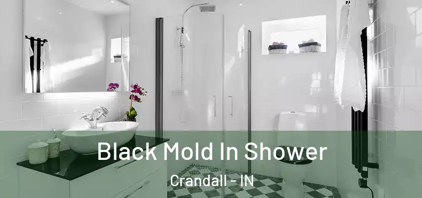  Black Mold In Shower Crandall - IN