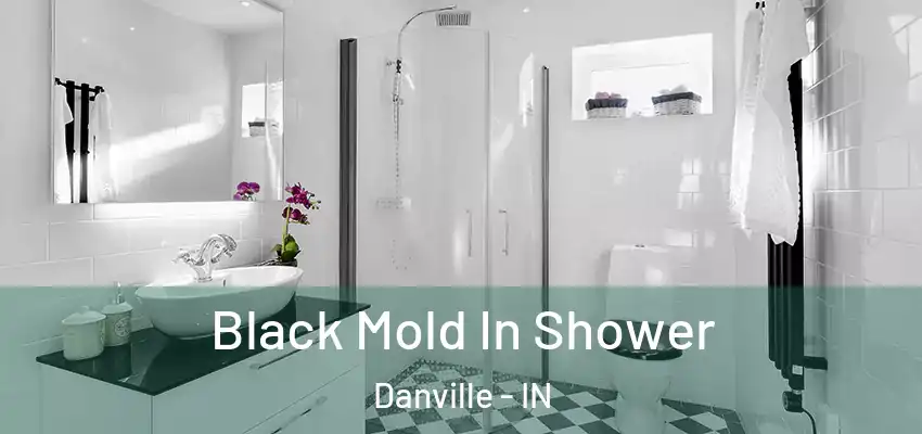  Black Mold In Shower Danville - IN