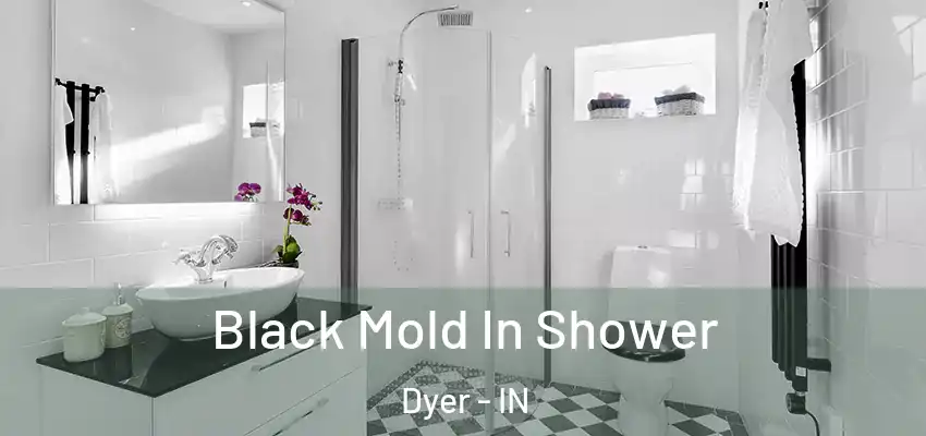  Black Mold In Shower Dyer - IN