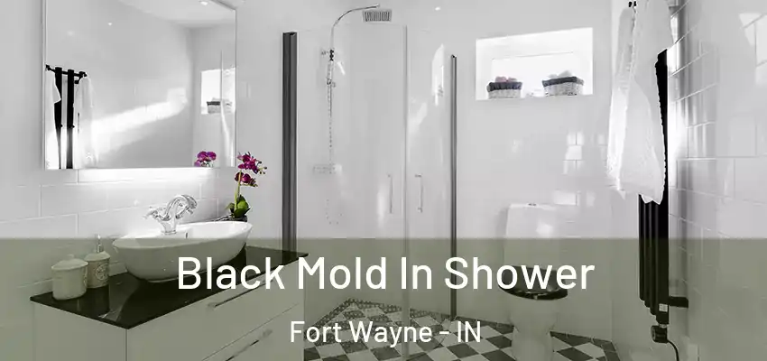  Black Mold In Shower Fort Wayne - IN