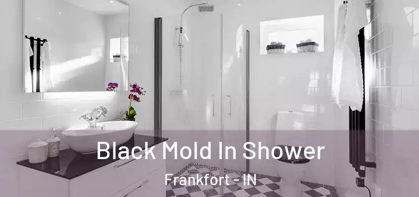  Black Mold In Shower Frankfort - IN