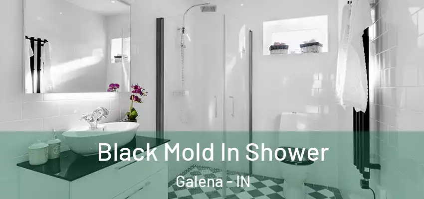  Black Mold In Shower Galena - IN