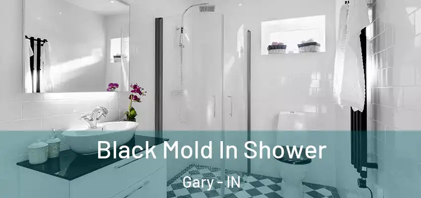 Black Mold In Shower Gary - IN