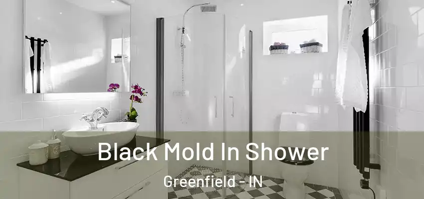  Black Mold In Shower Greenfield - IN