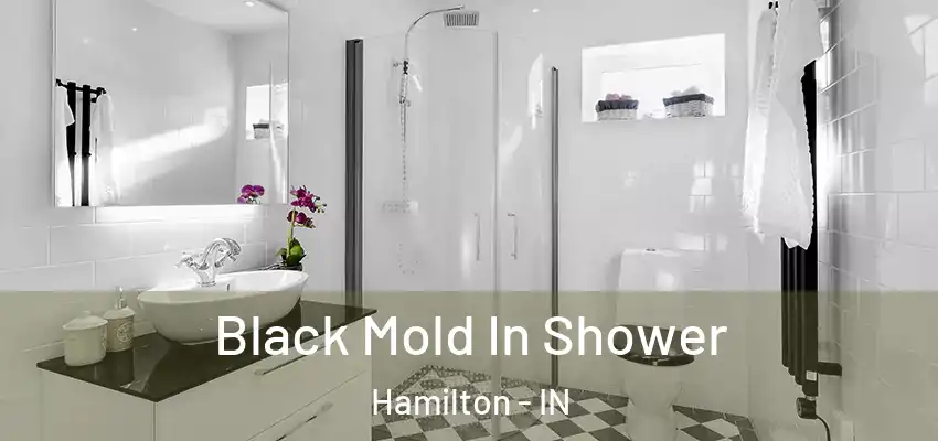 Black Mold In Shower Hamilton - IN