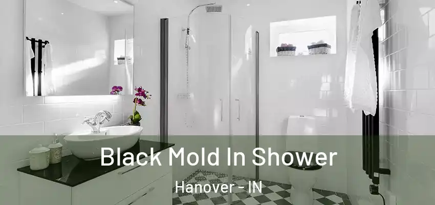  Black Mold In Shower Hanover - IN