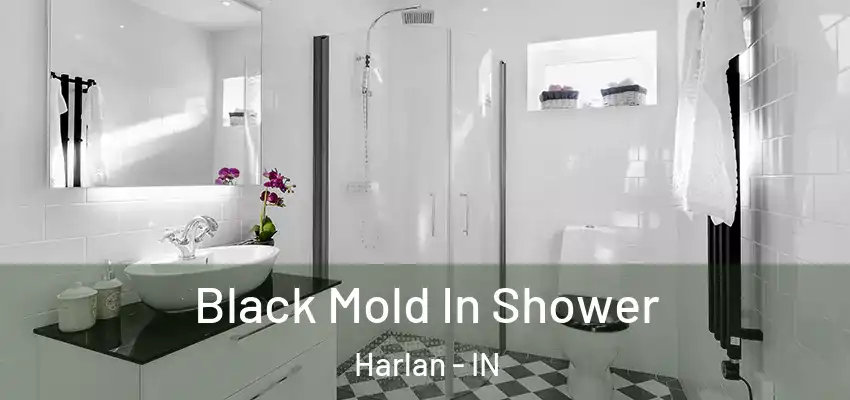  Black Mold In Shower Harlan - IN