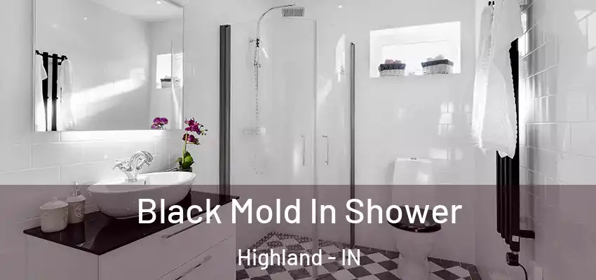 Black Mold In Shower Highland - IN