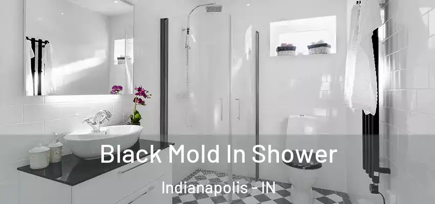  Black Mold In Shower Indianapolis - IN