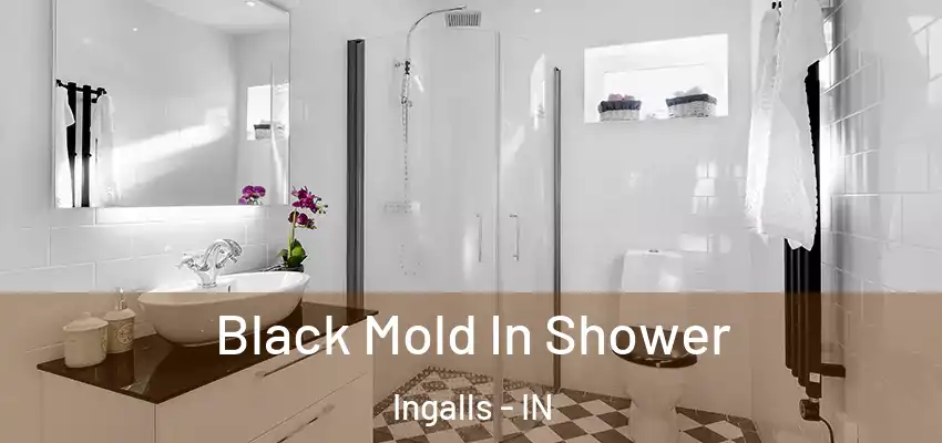  Black Mold In Shower Ingalls - IN