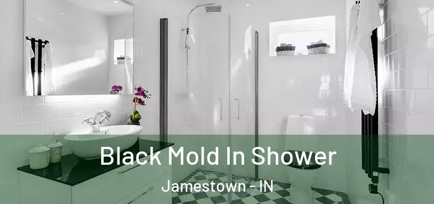 Black Mold In Shower Jamestown - IN