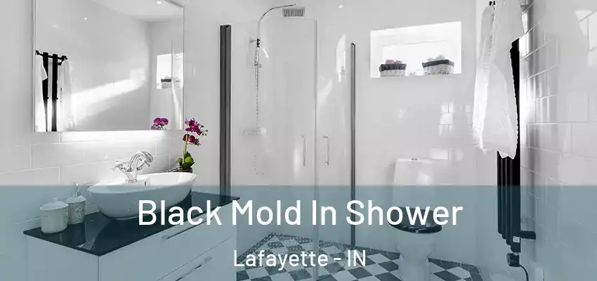 Black Mold In Shower Lafayette - IN