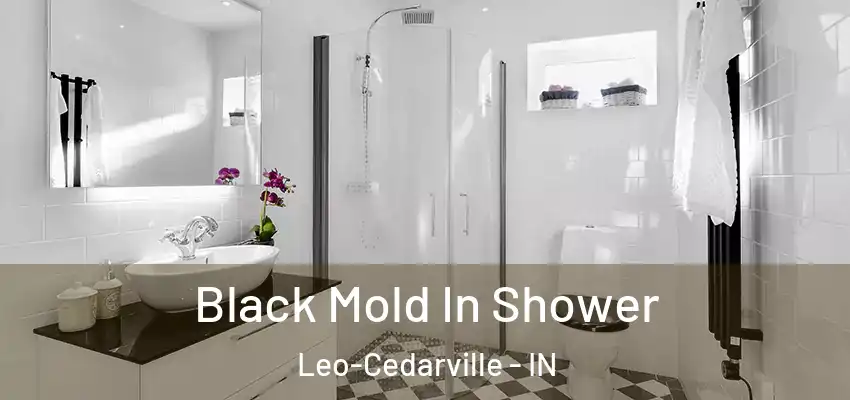  Black Mold In Shower Leo-Cedarville - IN