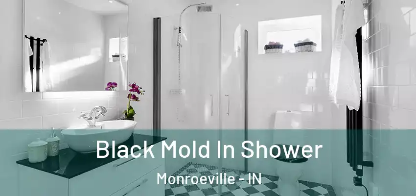  Black Mold In Shower Monroeville - IN