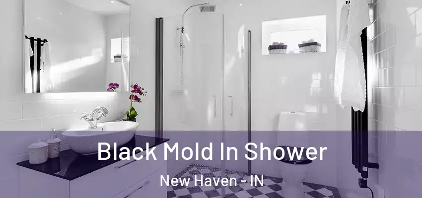  Black Mold In Shower New Haven - IN
