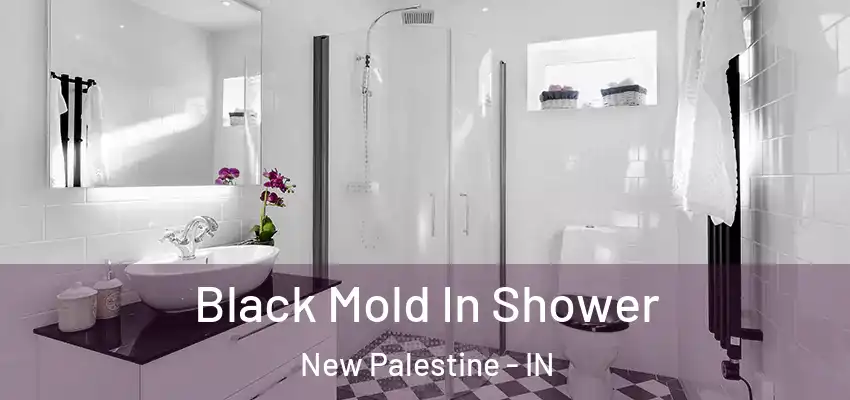  Black Mold In Shower New Palestine - IN