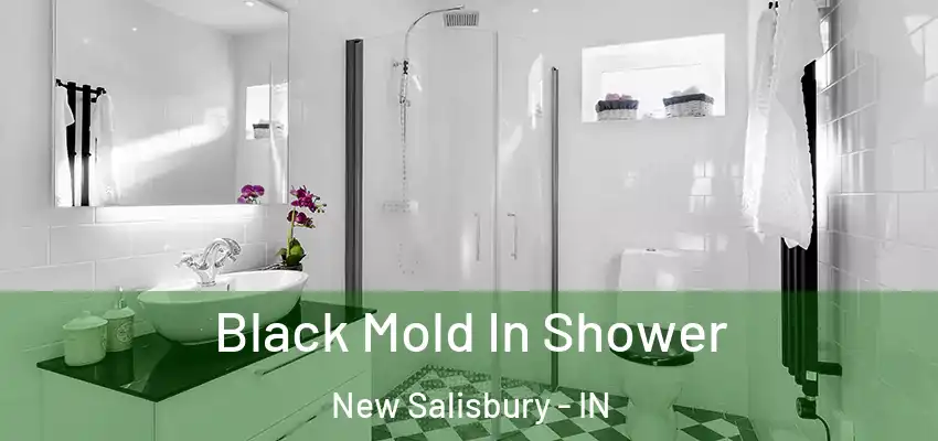  Black Mold In Shower New Salisbury - IN