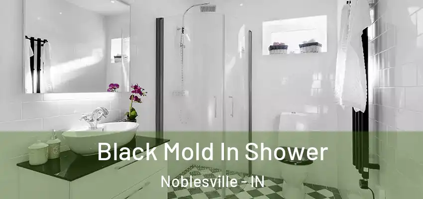  Black Mold In Shower Noblesville - IN