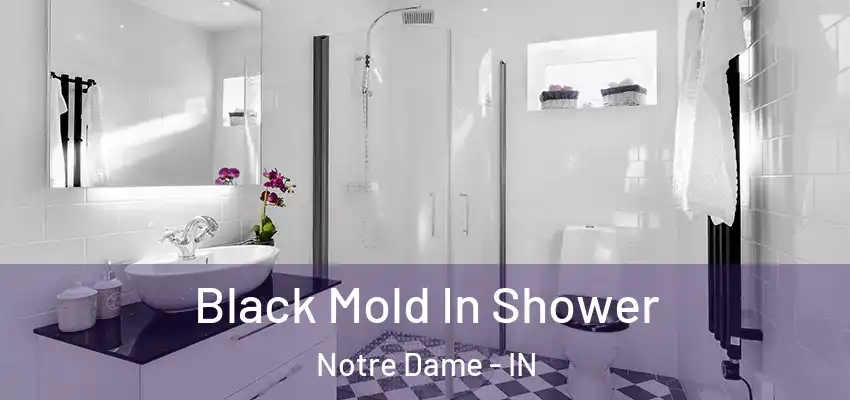  Black Mold In Shower Notre Dame - IN