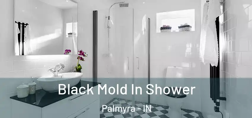 Black Mold In Shower Palmyra - IN