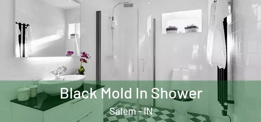  Black Mold In Shower Salem - IN