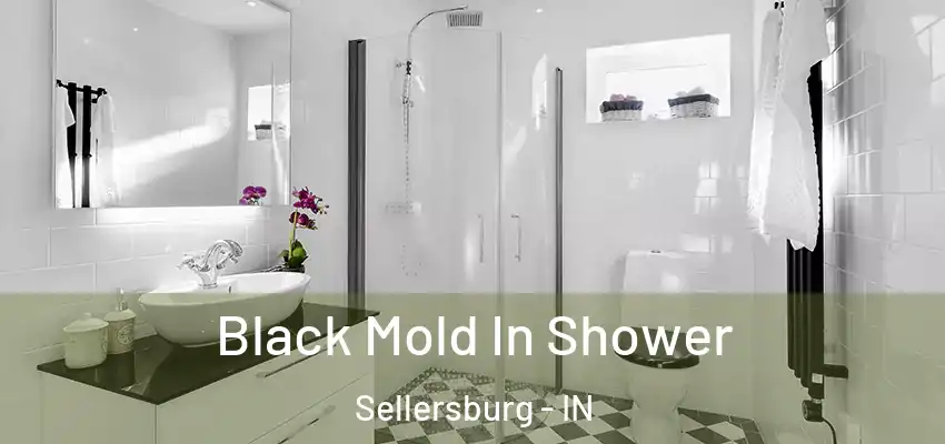  Black Mold In Shower Sellersburg - IN