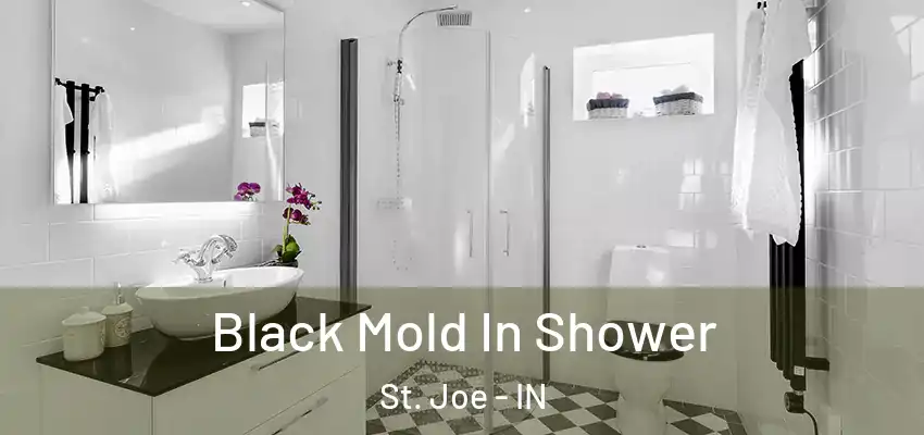  Black Mold In Shower St. Joe - IN