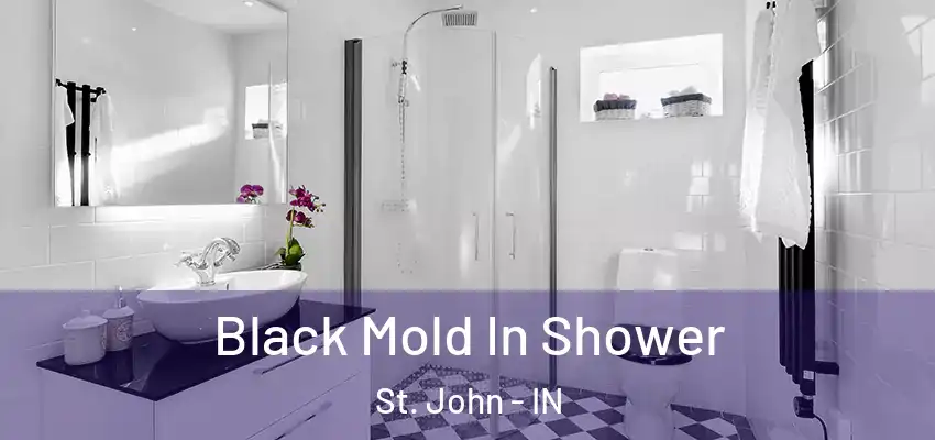  Black Mold In Shower St. John - IN