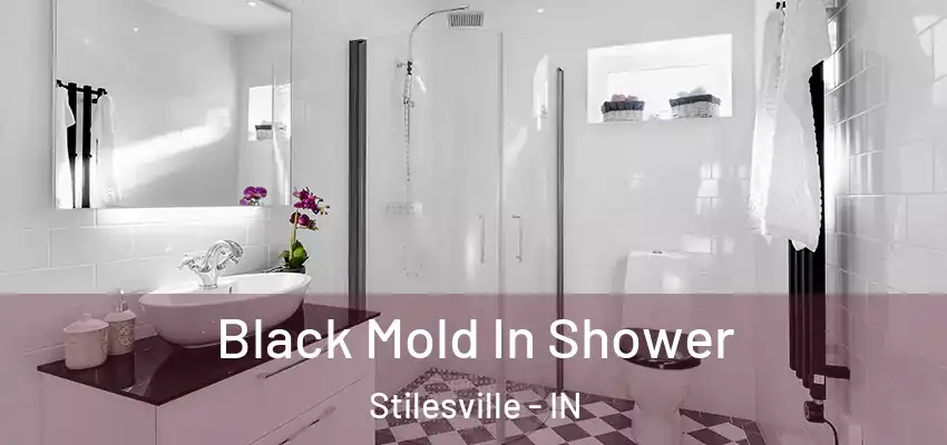  Black Mold In Shower Stilesville - IN