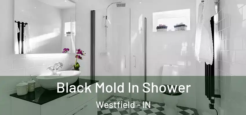 Black Mold In Shower Westfield - IN