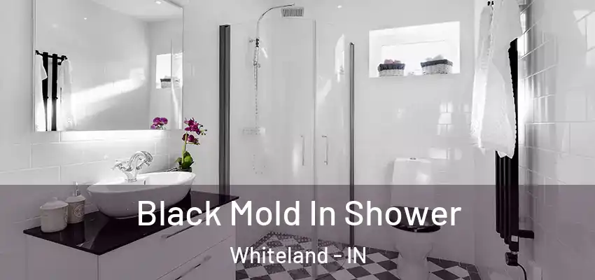  Black Mold In Shower Whiteland - IN