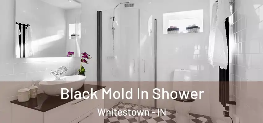  Black Mold In Shower Whitestown - IN