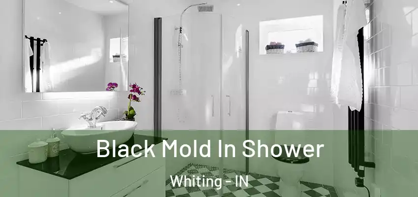  Black Mold In Shower Whiting - IN