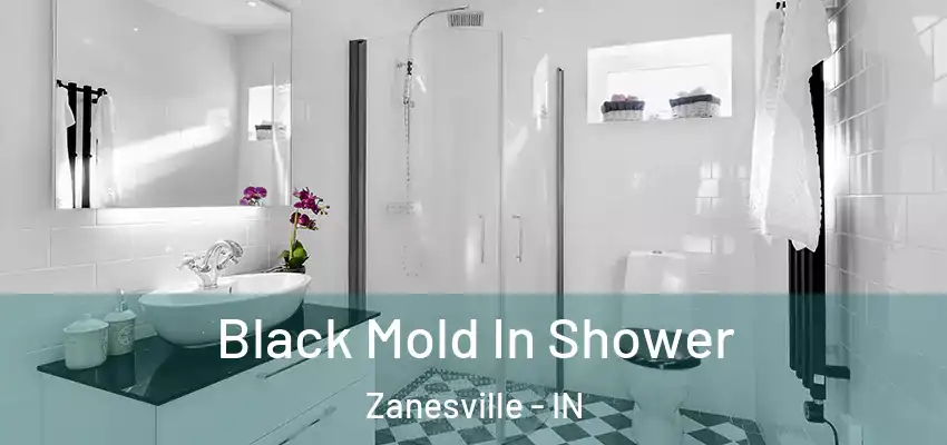  Black Mold In Shower Zanesville - IN