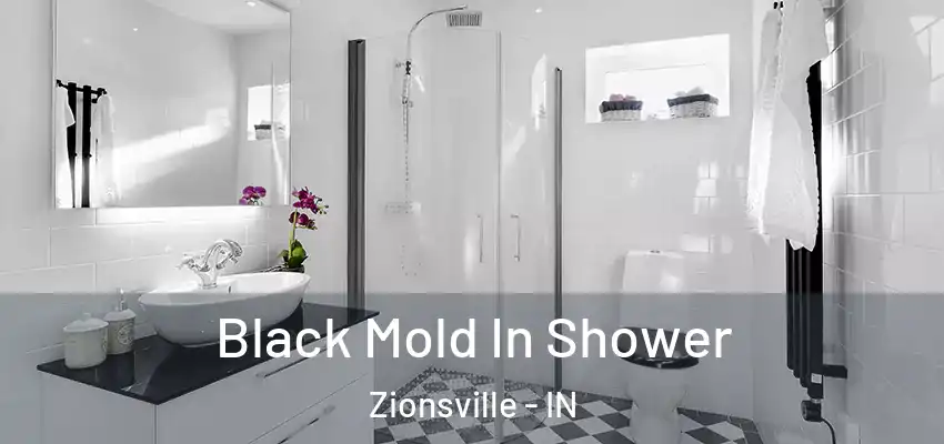 Black Mold In Shower Zionsville - IN