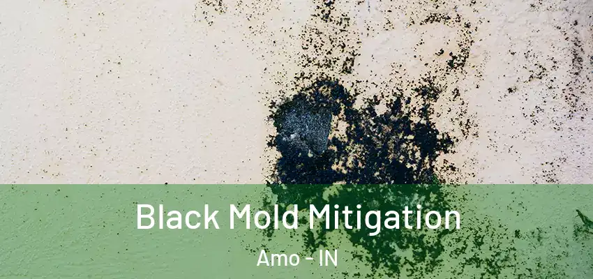  Black Mold Mitigation Amo - IN