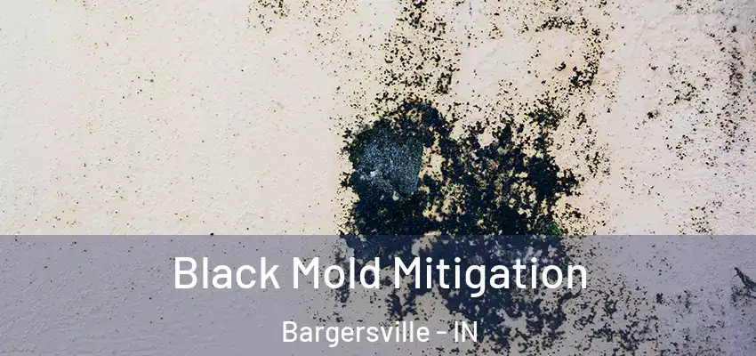  Black Mold Mitigation Bargersville - IN