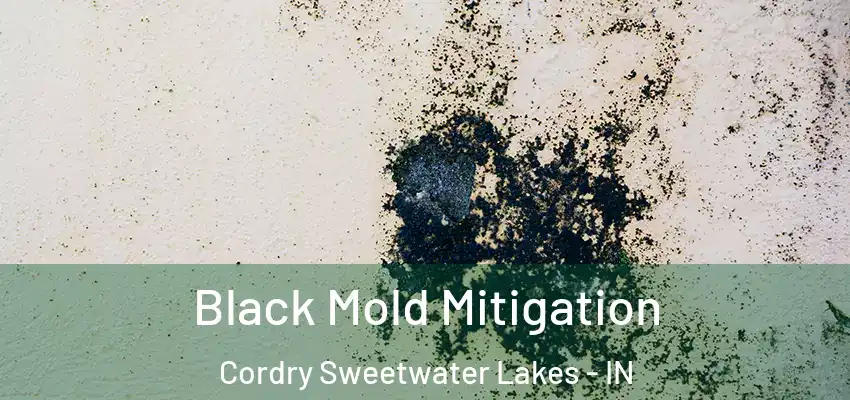  Black Mold Mitigation Cordry Sweetwater Lakes - IN