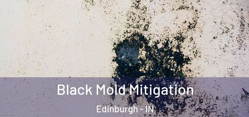  Black Mold Mitigation Edinburgh - IN
