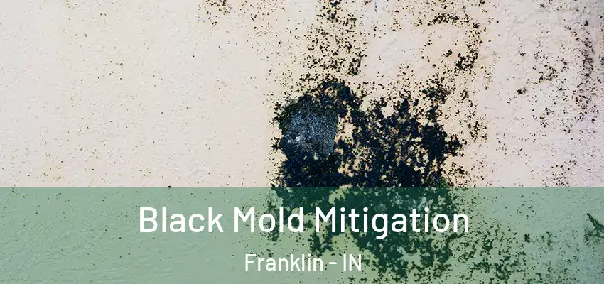  Black Mold Mitigation Franklin - IN