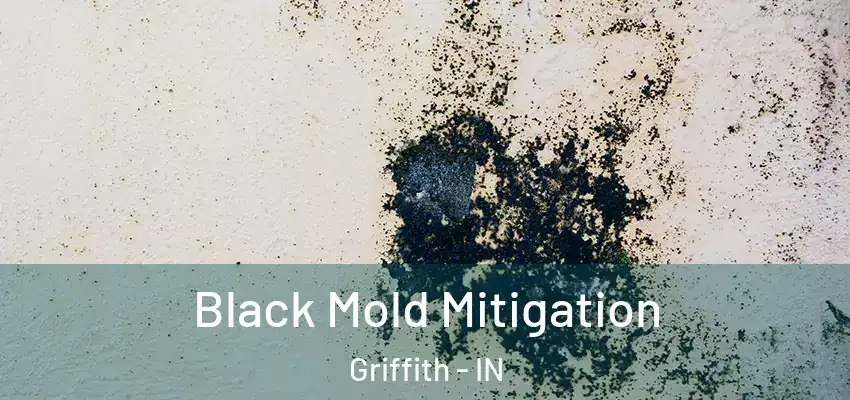  Black Mold Mitigation Griffith - IN