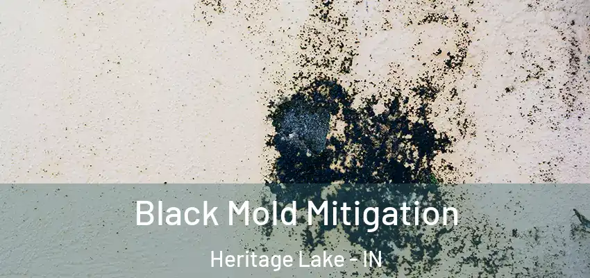  Black Mold Mitigation Heritage Lake - IN