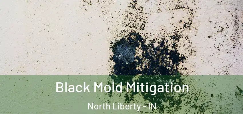  Black Mold Mitigation North Liberty - IN