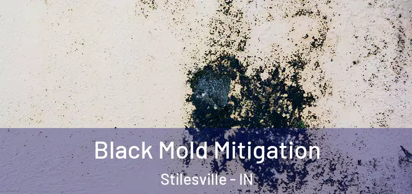  Black Mold Mitigation Stilesville - IN